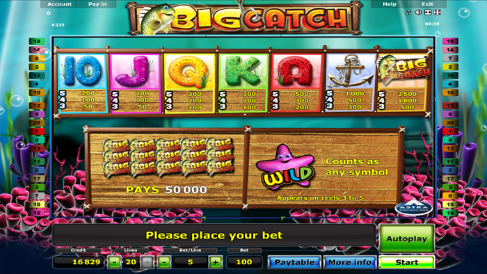 Big Catch